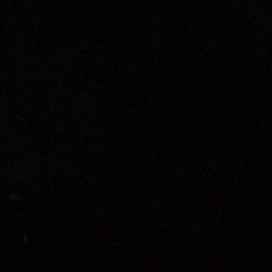 Meet your Posher, Beau